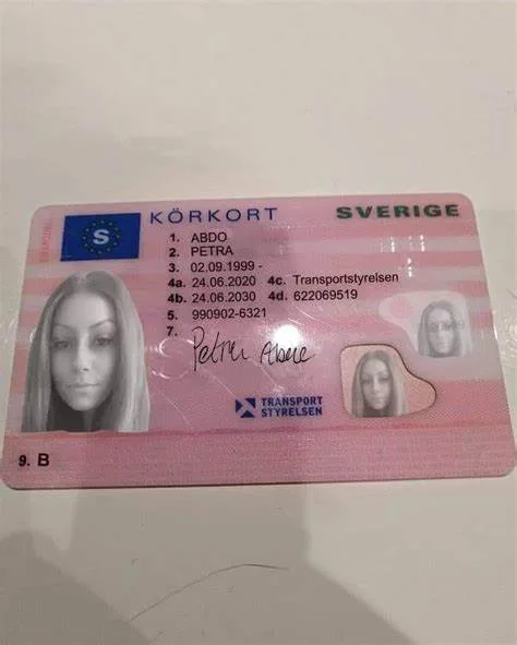 Sverige C1E körkort