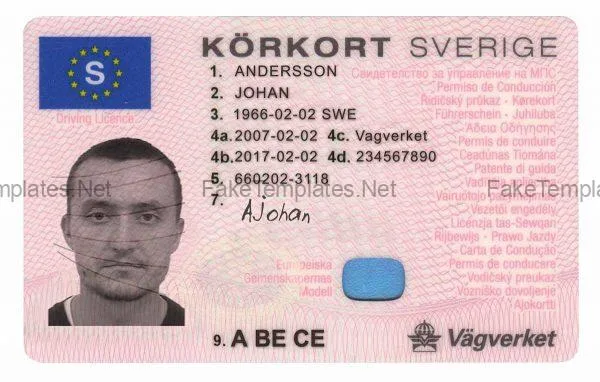 Sverigeregistrerat körkort